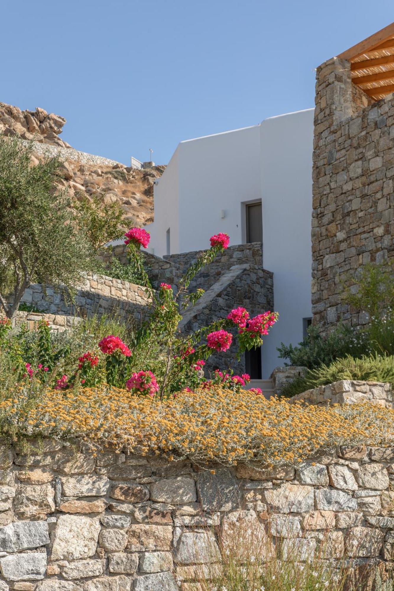 Calma Suites Mykonos Psarrou Eksteriør billede